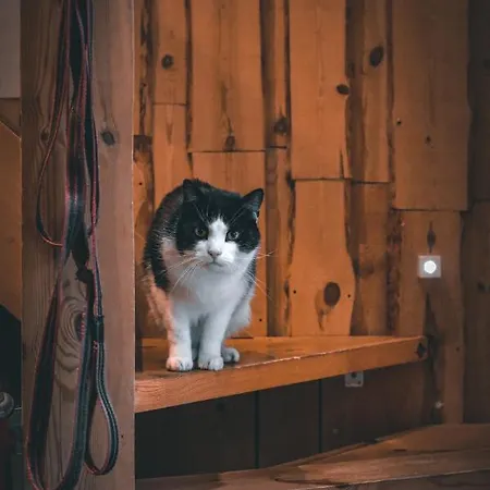 Samblatalu Maison d'hôtes