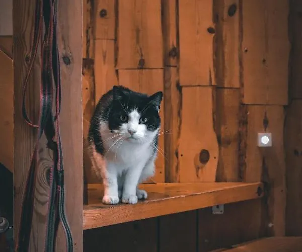 Samblatalu Гостевой дом